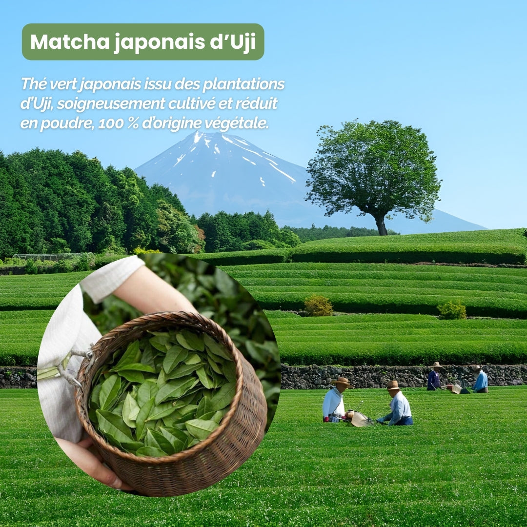 Masque Antioxydant au Matcha